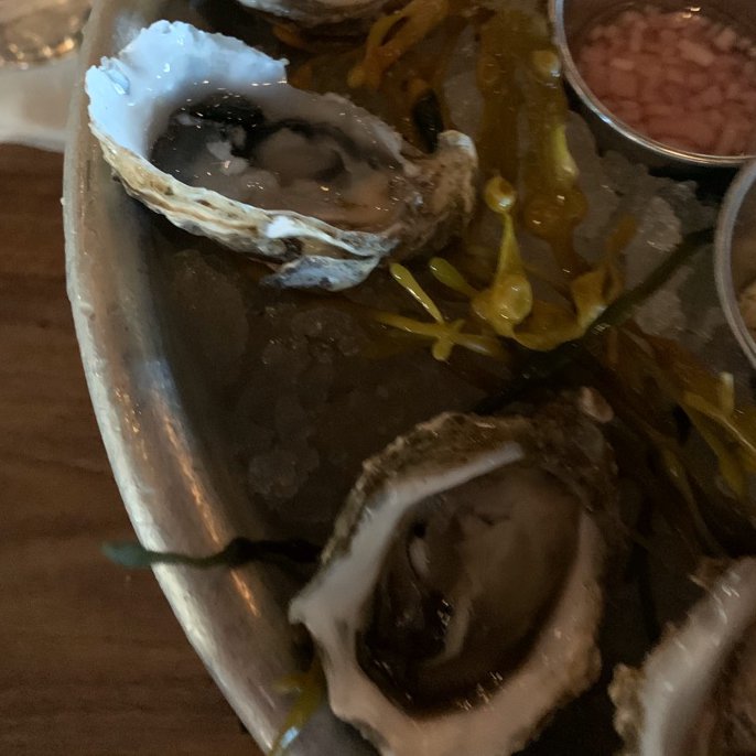 Kumamoto Oysters King S Fish House