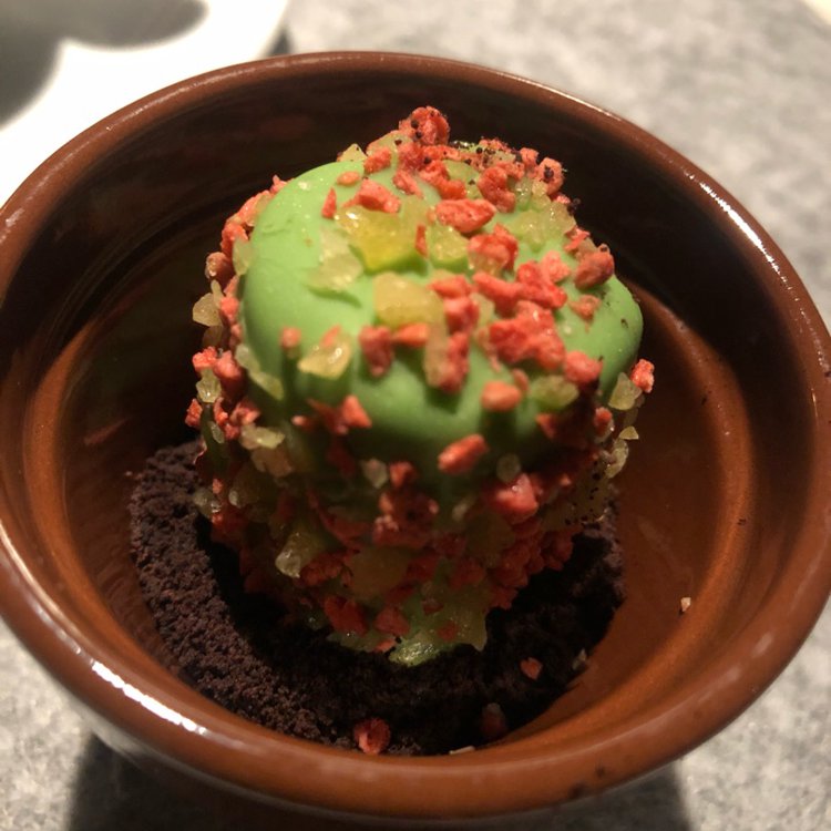 Kaktus @ Restaurant Herzig